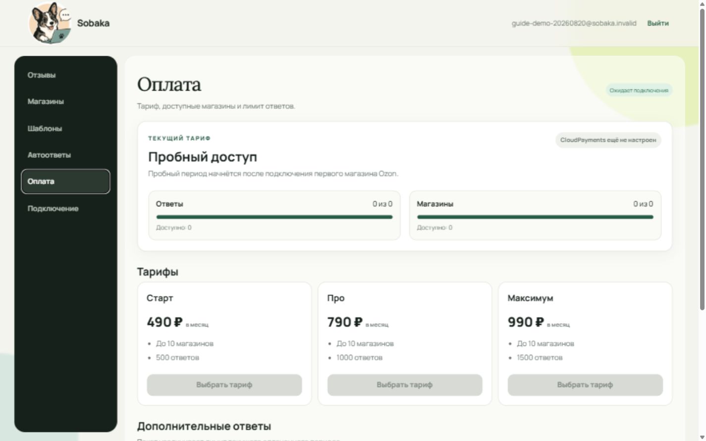 Раздел оплаты и лимитов